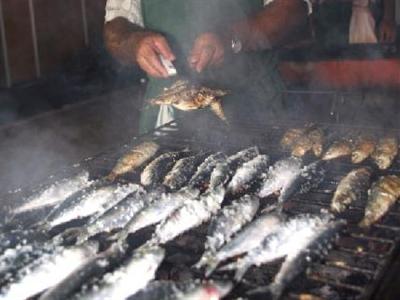 Apartments Jardins da Rocha 