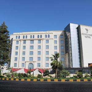 отель Olive Tree Hotel