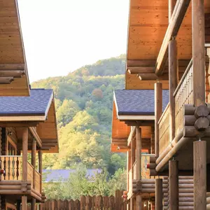 отель Снегири Village