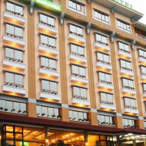 отель TTC Hotel Premium - Dalat