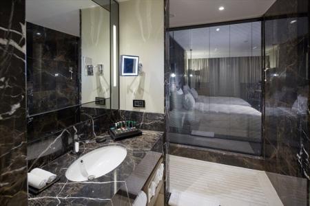 Отель Mercure Istanbul West Hotel & Convention Center в Бахчелиэвлер - Турция