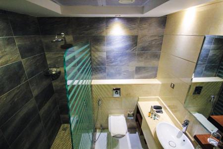 Отель Rose Park Hotel в Аль Барша - ОАЭ