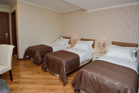 Отель King David в Бакуриани - Грузия