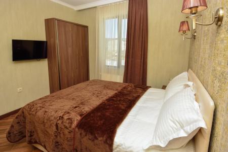 Отель King David в Бакуриани - Грузия