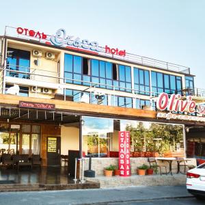 отель Апарт-отель Ольга