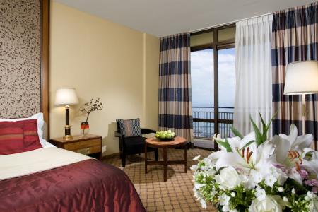 The Dan Carmel Hotel