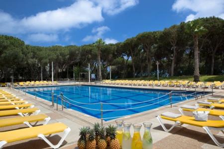 The Dan Carmel Hotel