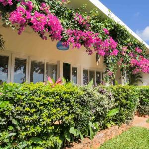 отель Kidoti Villas by Z