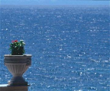 Отель Danai Beach Resort & Villas в Халкидики-Ситония - Греция