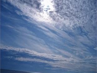 Bomo Danai Hotel & SPA