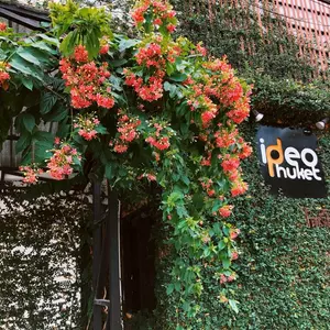отель Ideo Phuket Hotel