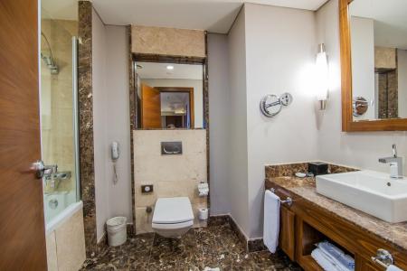 Отель Dedeman Konya Hotel & Convention Center в Конья - Турция