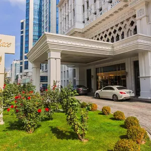 отель Meyra Palace Hotel