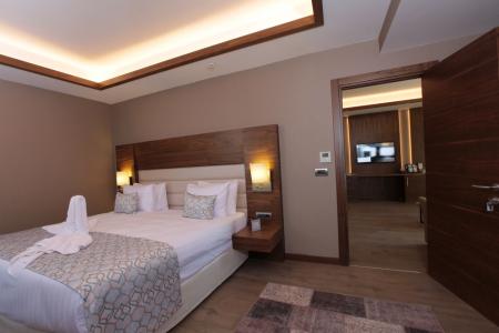 Отель Bricks Airport Hotel Istanbul в Бахчелиэвлер - Турция