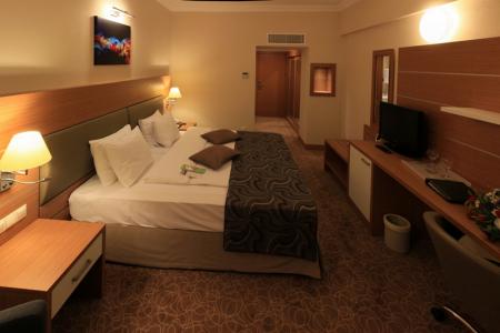 Отель Dedeman Ankara в Анкара - Турция