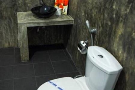 Отель Vibration в Хиккадува - Шри-Ланка