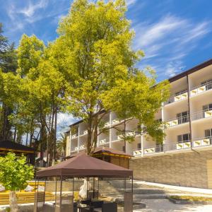 отель Родина