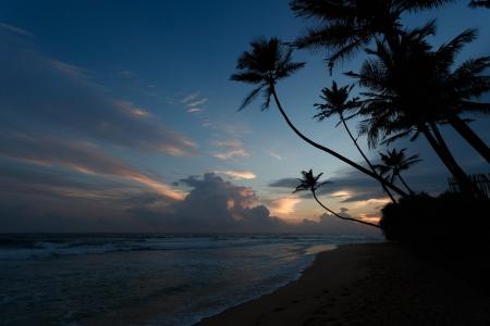Отель KK Beach в Унаватуна - Шри-Ланка