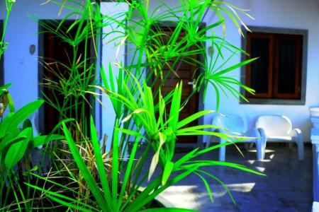 Отель Happy Banana в Унаватуна - Шри-Ланка