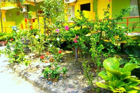 Отель Wavelet Beach Resort в Палолем - Индия