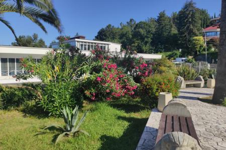 Отель Ларимар пансионат в Лоо - Россия