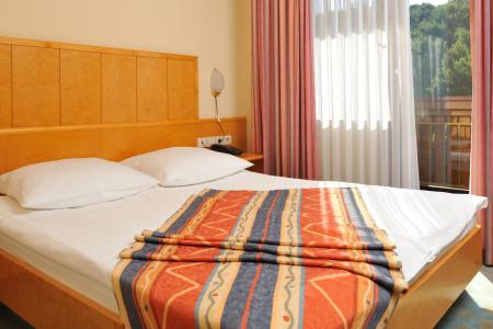 Hotel Toplice