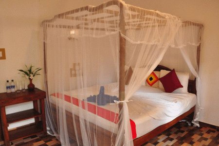 Отель Mama`s Place в Мирисса - Шри-Ланка