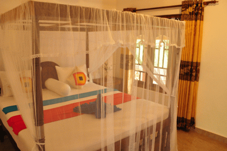 Отель Mama`s Place в Мирисса - Шри-Ланка