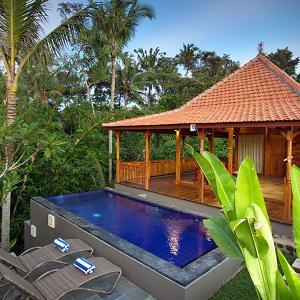 отель Ubud Heaven Sayan
