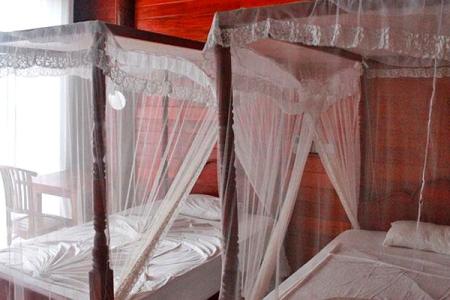 Отель Coral Beach Hotel в Мирисса - Шри-Ланка