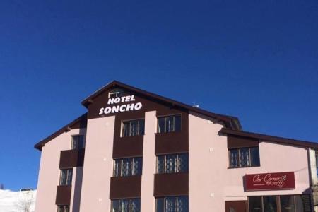 Отель Soncho в Гудаури - Грузия