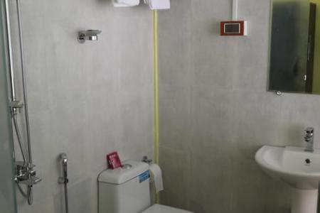 Отель Reginas Place в Мандрем - Индия