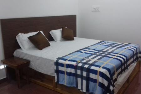 Отель Lavish Exotic Hotel в Арамболь - Индия