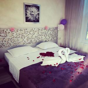 отель Constanta Hotel