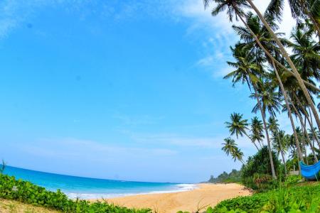 Отель Rainbow Beach Hotel (Ambalangoda) в Галле - Шри-Ланка