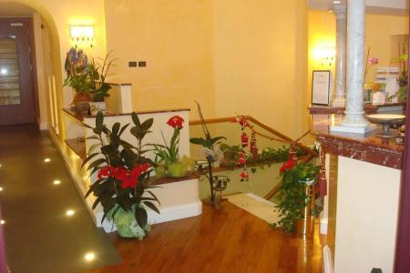 Отель Dina в Рим - Италия