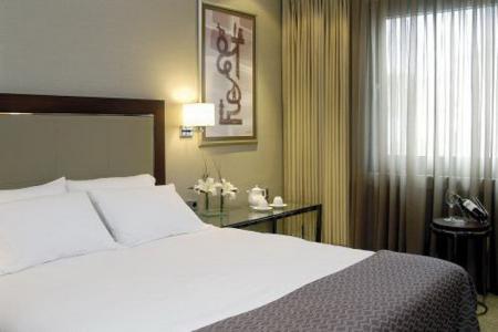 Отель Divan Ankara в Анкара - Турция