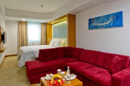 Отель Divan Istanbul City в Шишли - Турция