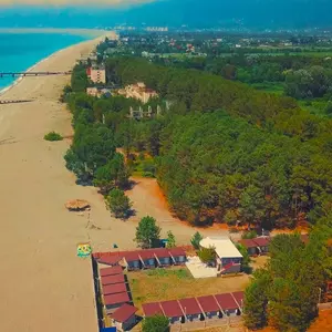 отель Forest Club