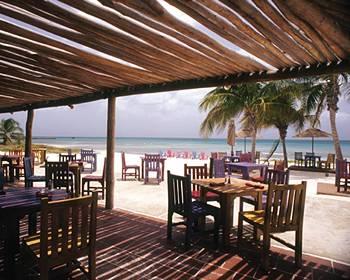 Divi Aruba Phoenix Beach Resort