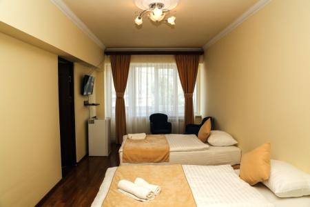 Hotel Goris