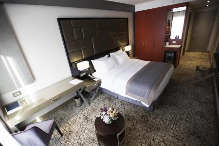 Отель Wyndham Grand Tbilisi в Тбилиси - Грузия