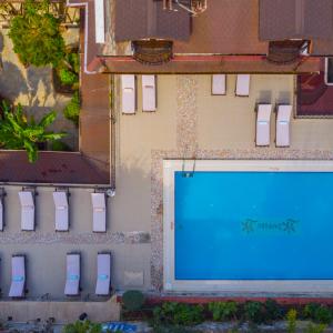 отель Hotel Villa Daffodil