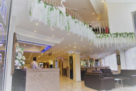 Отель Hotel Marina City в Аксарай - Турция