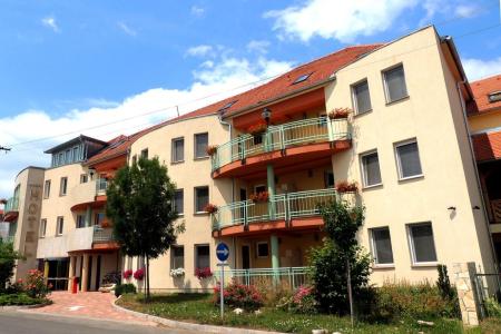 Makar Sport & Wellness