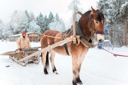 Экоранчо Алексеевка