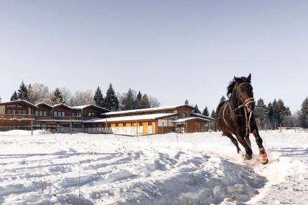 Экоранчо Алексеевка