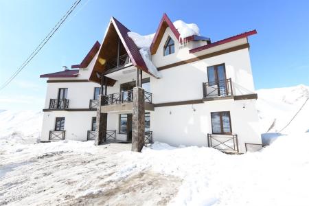 Отель Hotel Ereto в Гудаури - Грузия