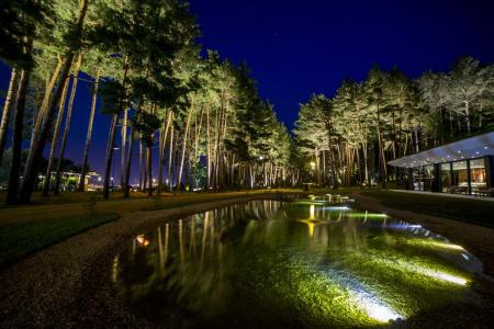 Отель Bioli Medical Wellness Resort в Тбилиси - Грузия