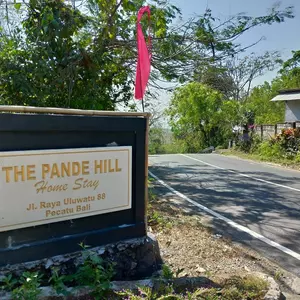 отель The Pande Hill Homestay